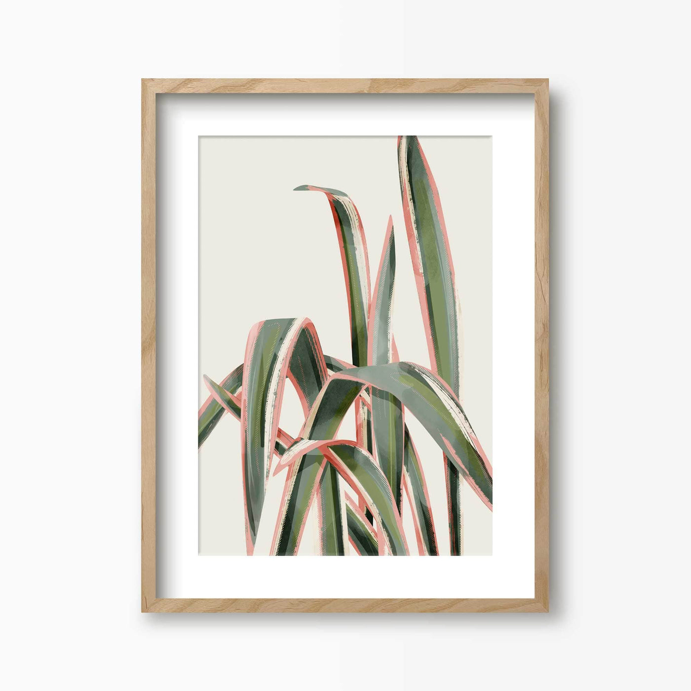 Green Lili 30x40cm (12x16") / Natural Frame + Mount Pink Spider Plant Art Print