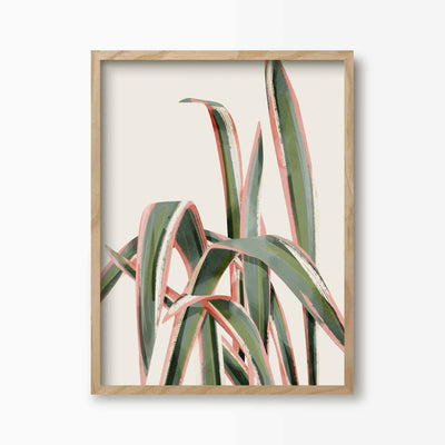 Green Lili 30x40cm (12x16") / Natural Frame Pink Spider Plant Art Print