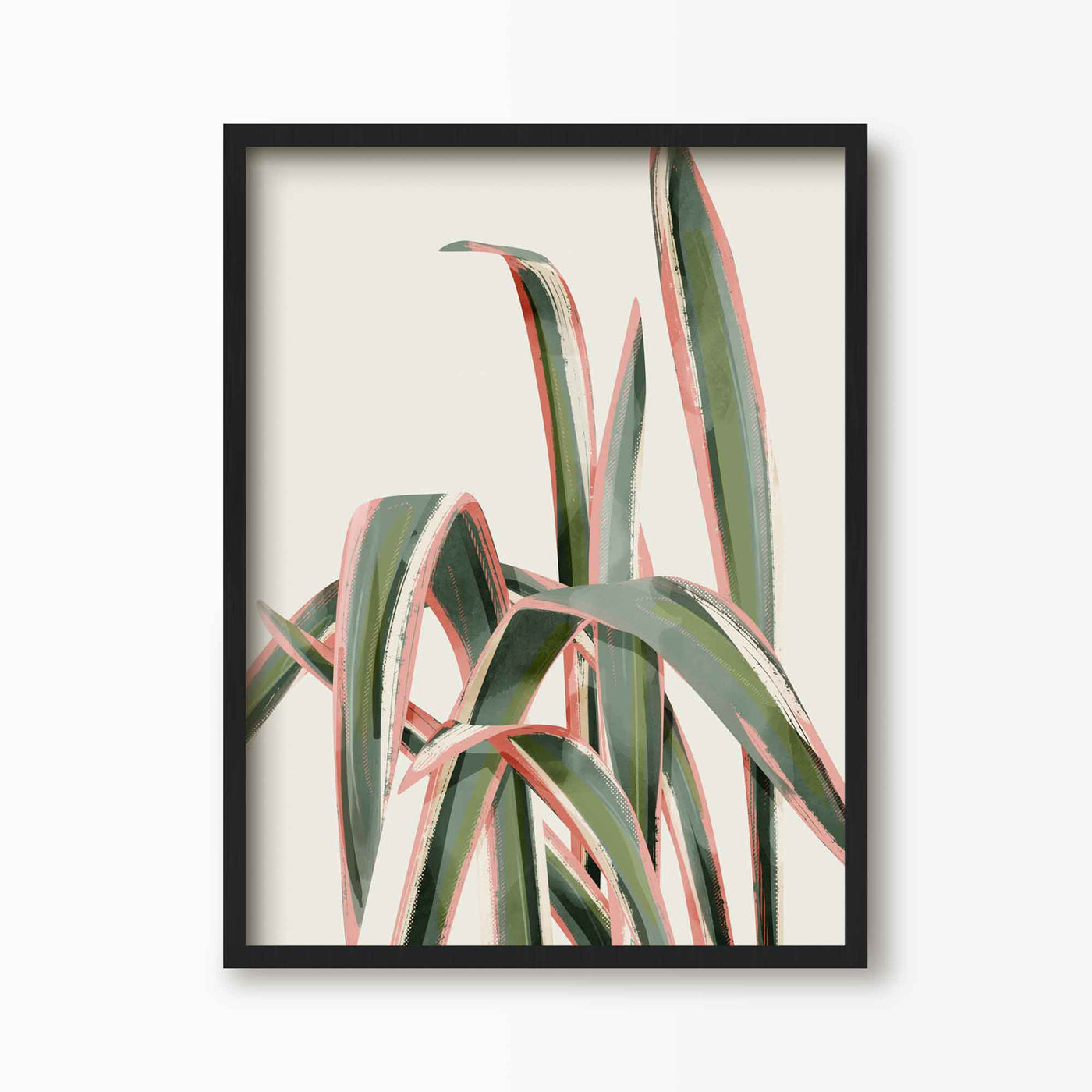 Green Lili 30x40cm (12x16") / Black Frame Pink Spider Plant Art Print