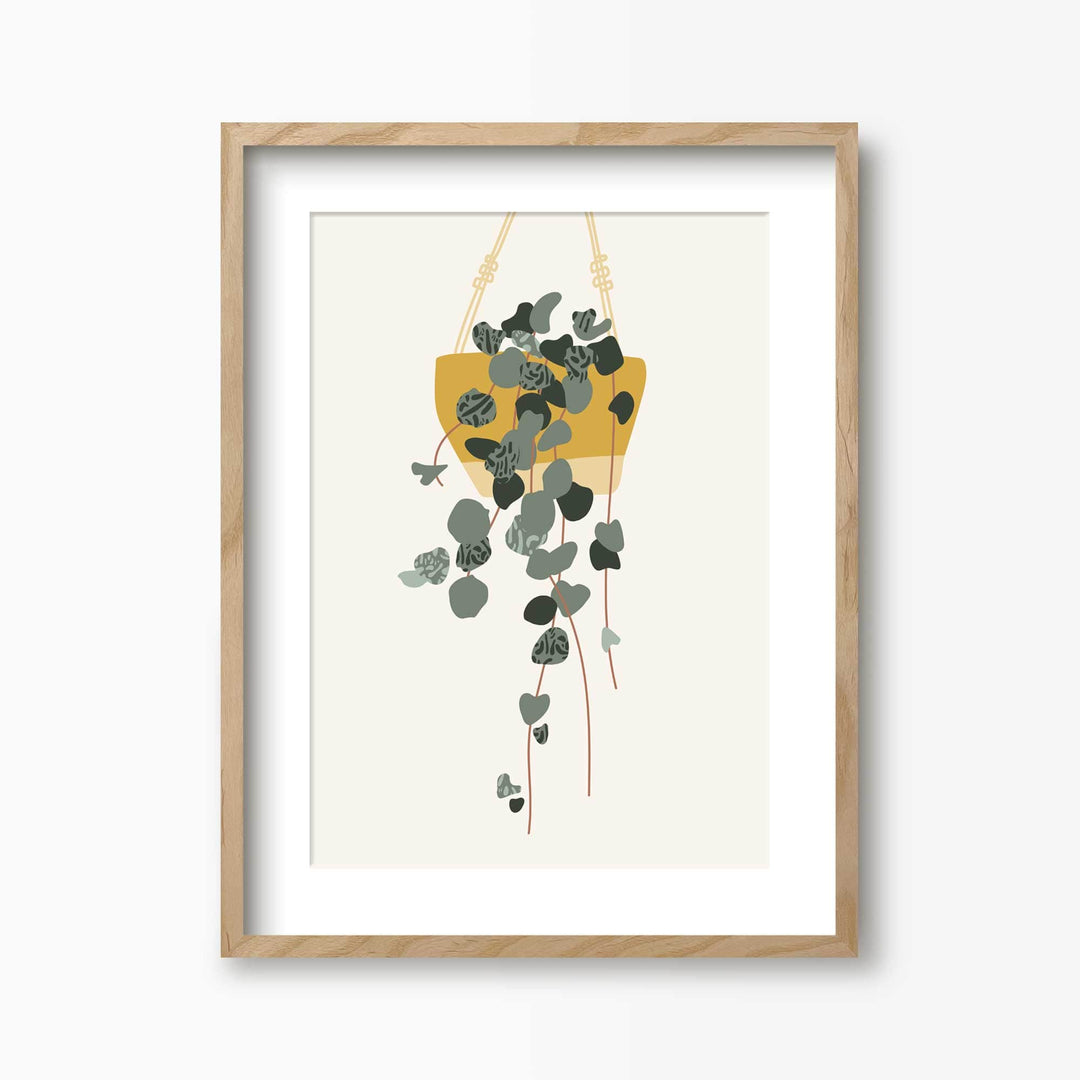 Green Lili 30x40cm (12x16") / Natural Frame + Mount String of Hearts Hanging Plant Print