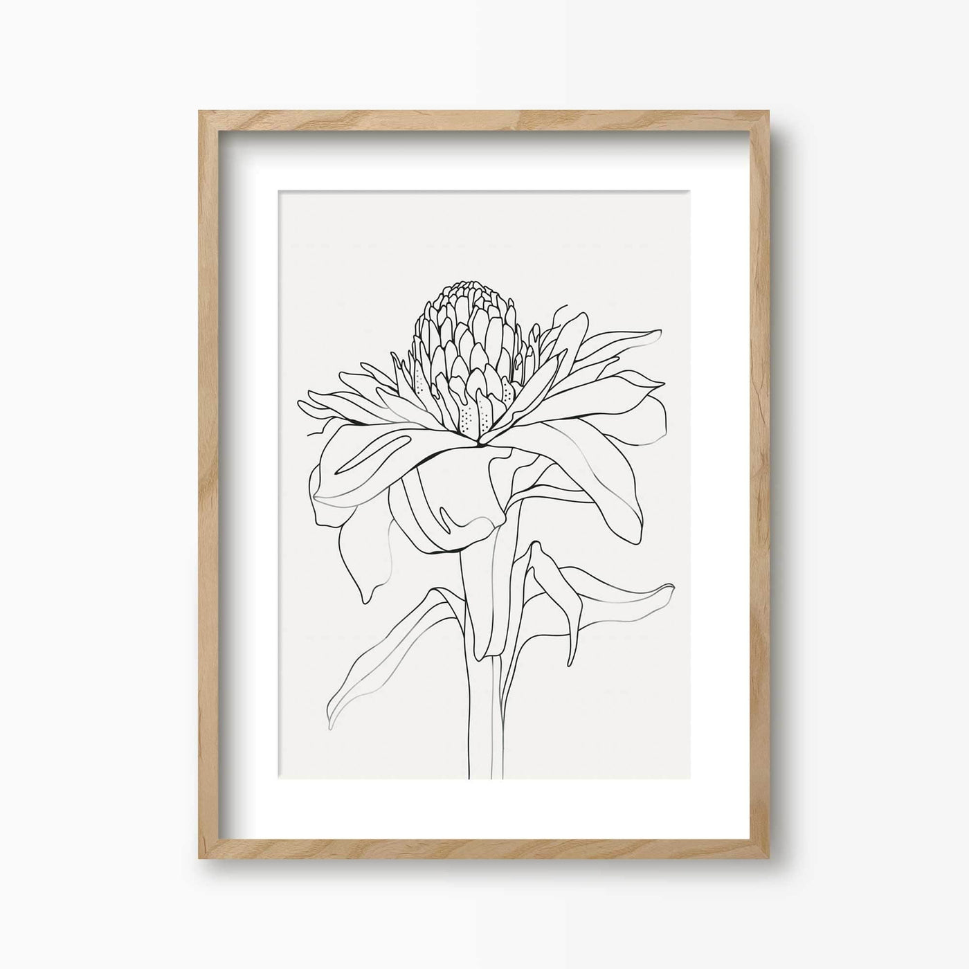 Green Lili 30x40cm (12x16") / Natural Frame + Mount Torch Ginger Flower Line Art Print