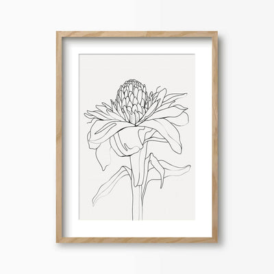 Green Lili 30x40cm (12x16") / Natural Frame + Mount Torch Ginger Flower Line Art Print