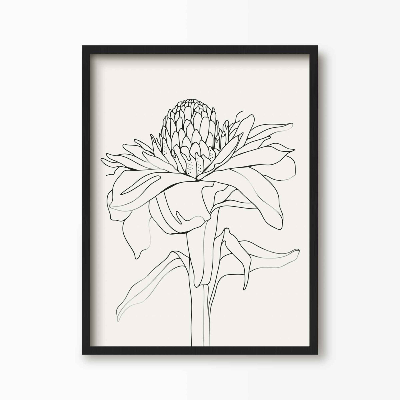 Green Lili 30x40cm (12x16") / Black Frame Torch Ginger Flower Line Art Print