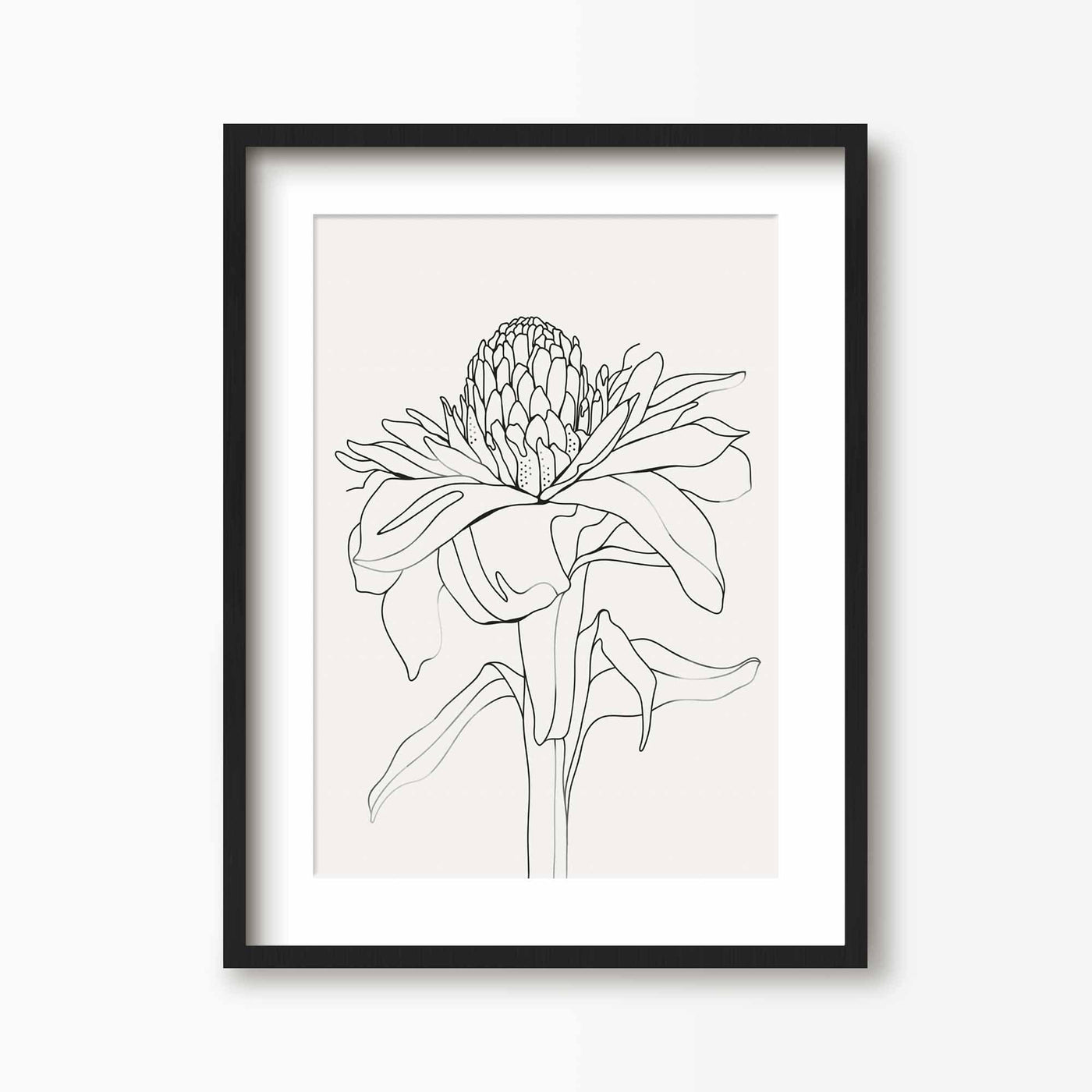 Green Lili 30x40cm (12x16") / Black Frame + Mount Torch Ginger Flower Line Art Print