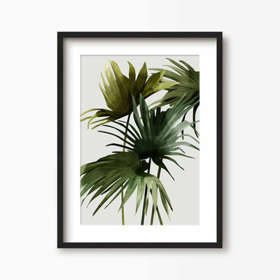 Green Lili 30x40cm (12x16") / Black Frame + Mount Tropical Fan Palms Art Print
